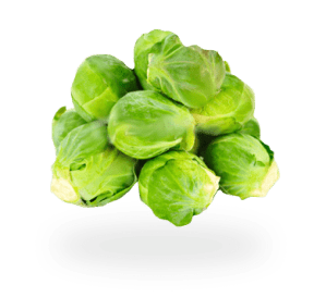 brussel