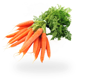 carrot