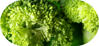 vegetables